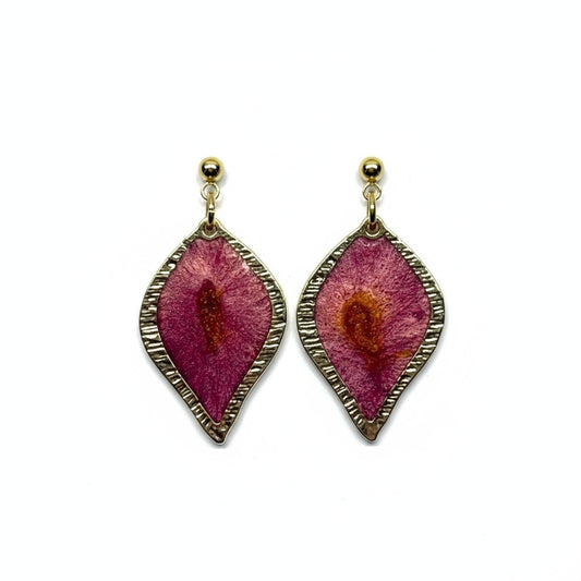 The Diamond Drop – Pink Jewel · Garden Collection